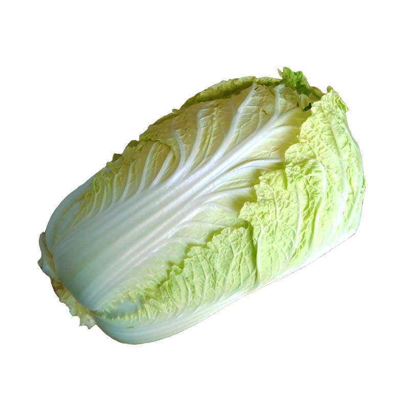 北京三号优质大白菜批发，质优价廉快速装货
