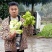 四川精品大心子儿菜娃娃菜无冒苔无腐烂