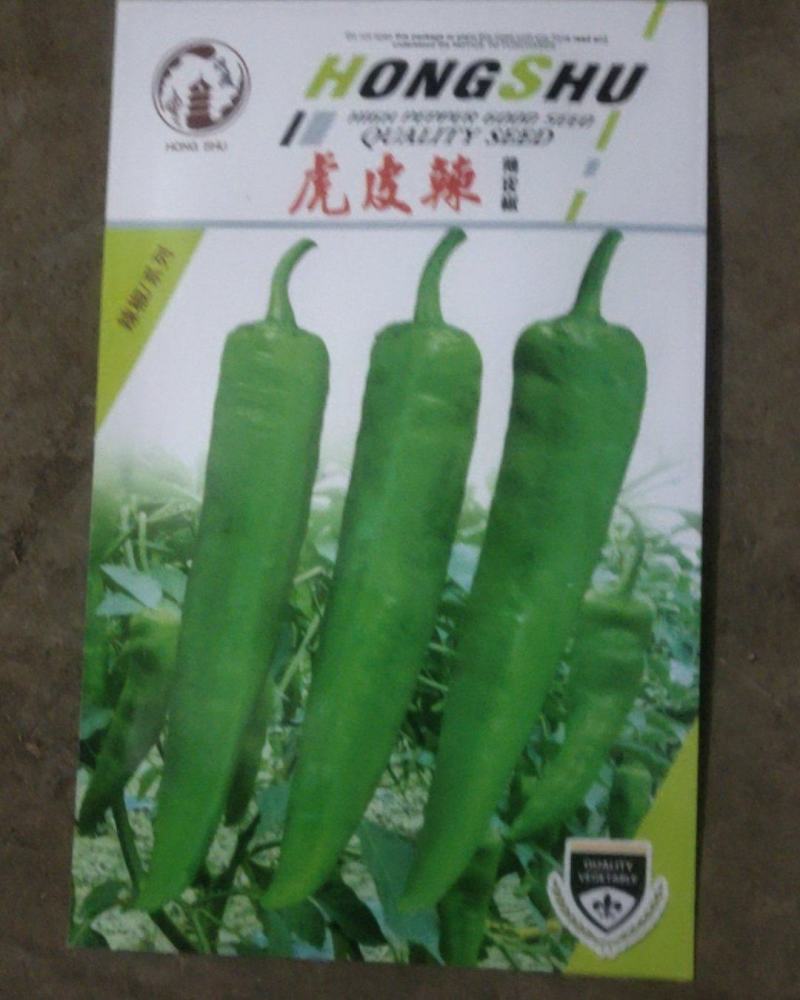青椒苗.尖椒苗（皮薄）欢迎选购