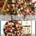芸豆杂芸豆混合装熬粥杂芸豆五谷杂粮杂芸豆5斤装包邮