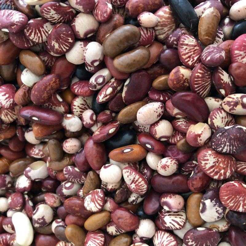 芸豆杂芸豆混合装熬粥杂芸豆五谷杂粮杂芸豆5斤装包邮