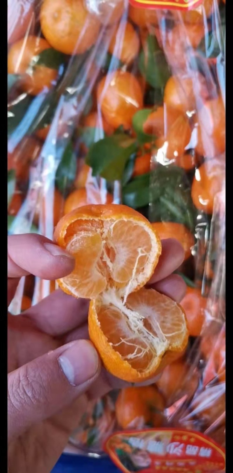 精品沙糖桔，皮毛亮，口感甜，可以供应电商