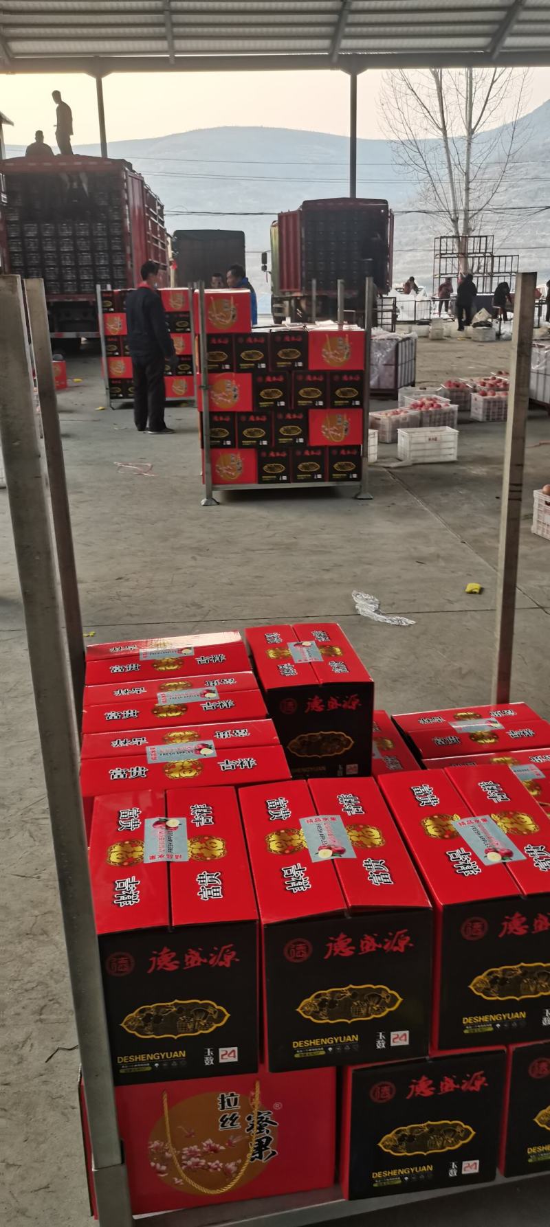 山东蒙阴优质红富士苹果，脆甜可口，产地直供，诚信交易