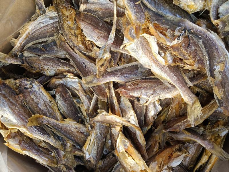 香酥小黄鱼新鲜黄花鱼烤制微甜一斤50至70条