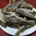 香酥小黄鱼新鲜黄花鱼烤制微甜一斤50至70条