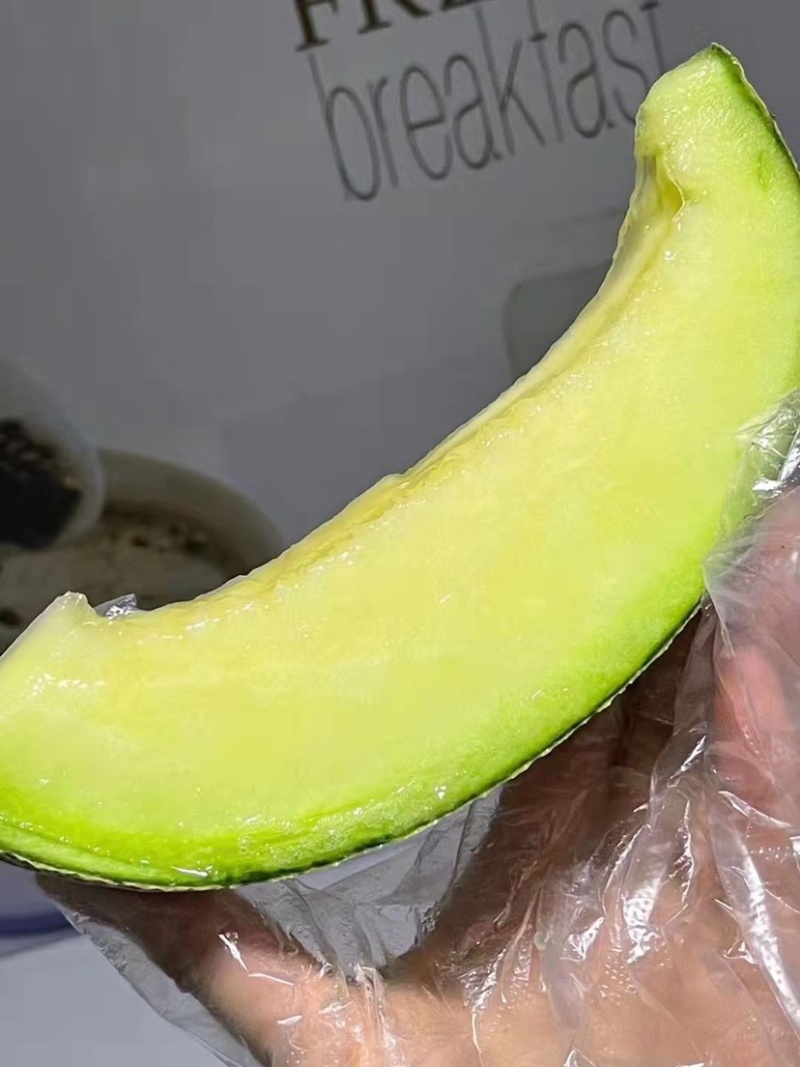海南玫珑瓜网纹瓜一级大果