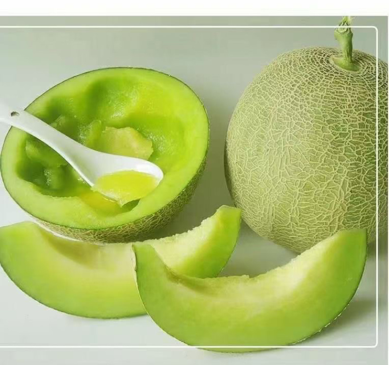 海南玫珑瓜网纹瓜一级大果