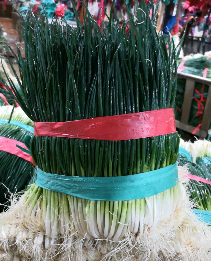 小葱产地直供精品小香葱大量热销中（产地大掉价）实力代收
