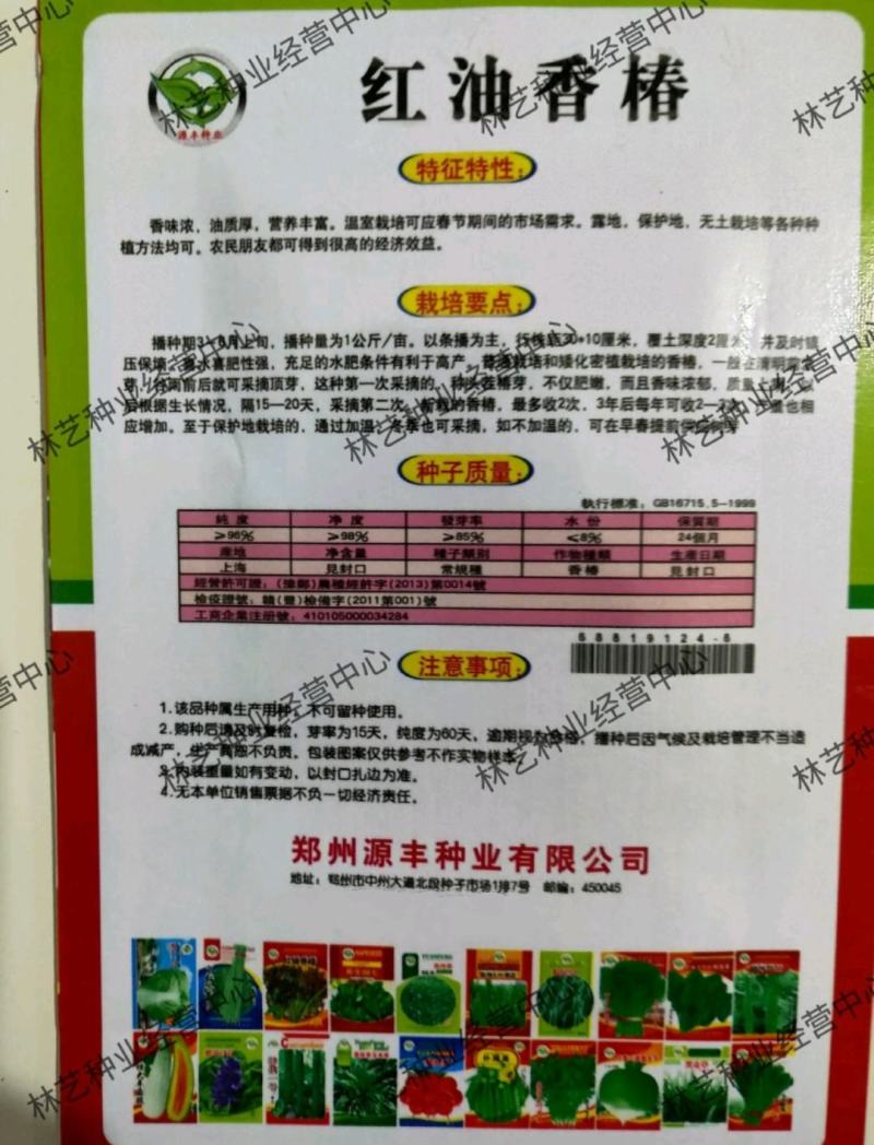 四季红油香椿种子芽苗菜香椿树种子四季播种包发芽新种