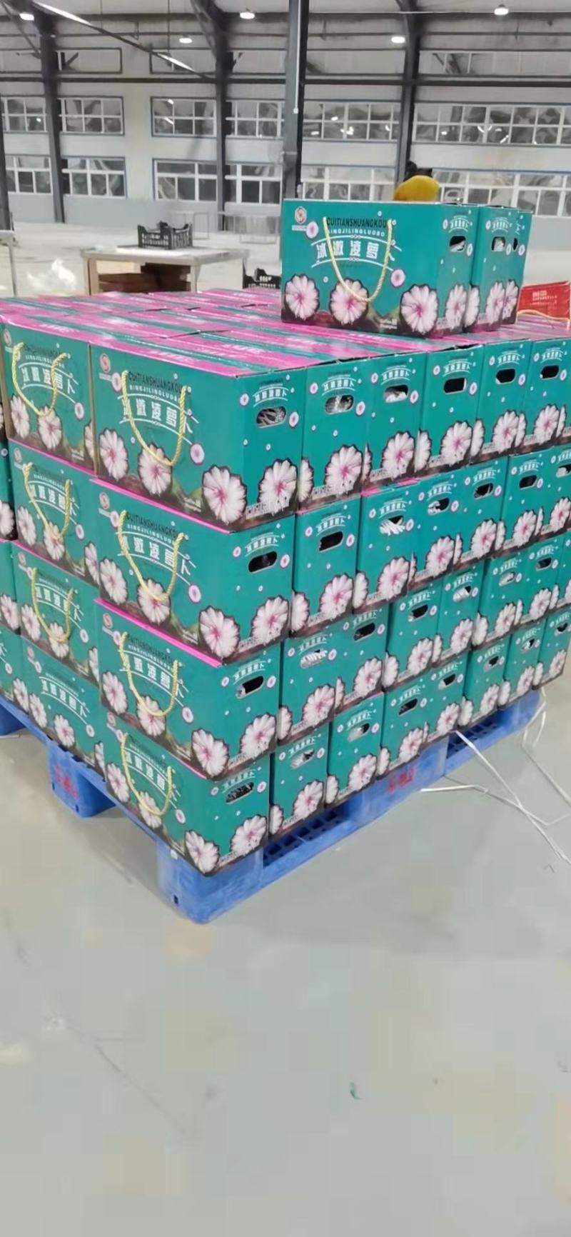 冰淇淋正宗冰糖心，冰激凌，水果萝卜大量供应，量大质优