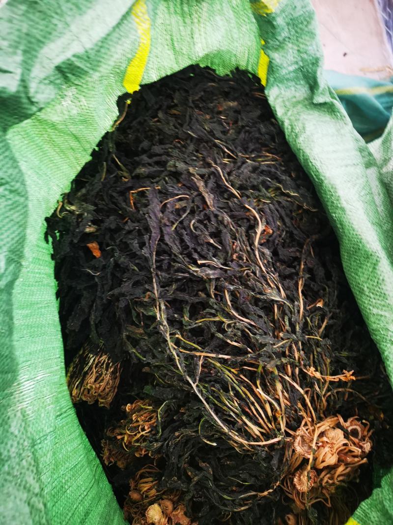脱水风干萝卜叶子！干萝卜叶子，出口风干萝卜叶子！外婆菜！
