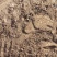 大量土地出租廊坊地区