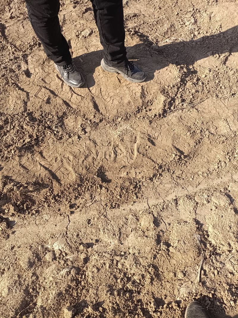 大量土地出租廊坊地区