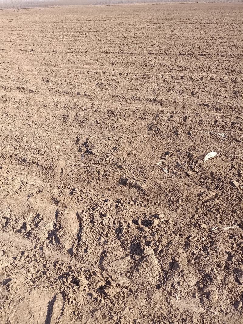 大量土地出租廊坊地区