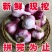 云南大理紫皮大蒜湿蒜新蒜专业一件代发货快