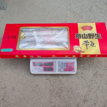舟山带鱼天窗礼盒各种规格型号都有,量大从优,舟山带鱼