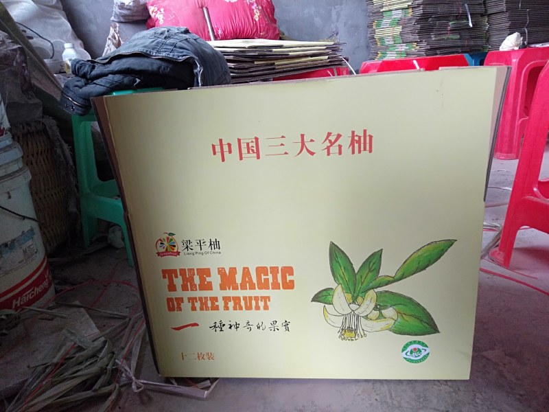 中国三大名柚(粱平柚)自产自销