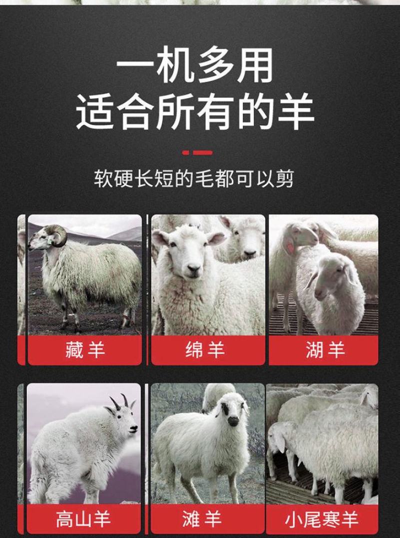 电动羊毛剪电推子羊毛推子剪毛机剃羊毛推子大功率羊毛剪刀