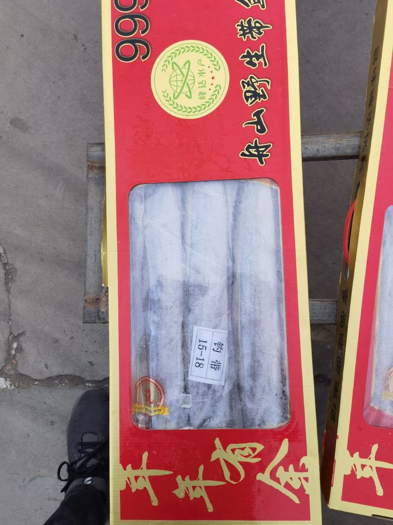 舟山带鱼刀鱼钓带小眼睛大眼睛冻品新鲜高亮度