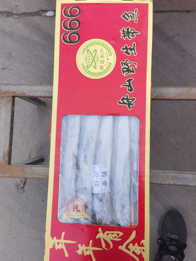 舟山带鱼刀鱼钓带小眼睛大眼睛冻品新鲜高亮度