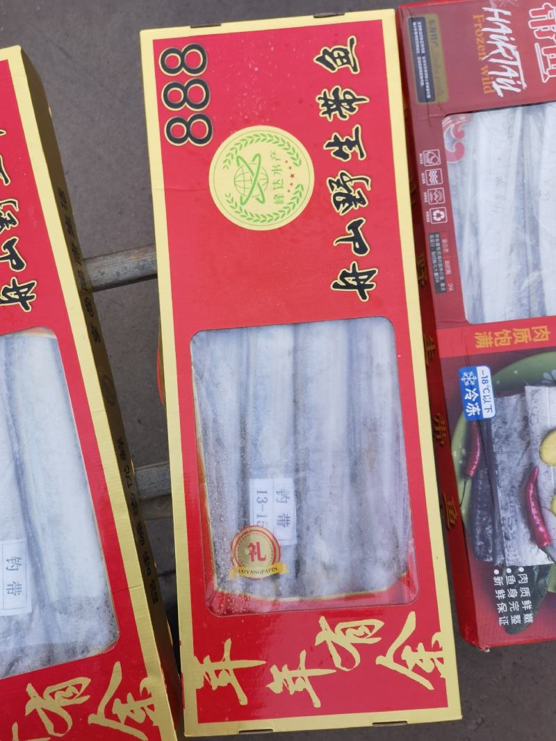 舟山带鱼刀鱼钓带小眼睛大眼睛冻品新鲜高亮度
