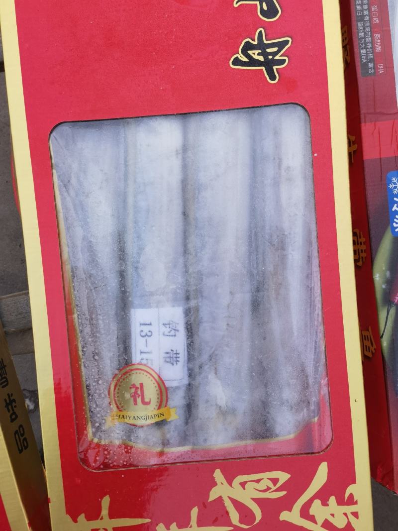 舟山带鱼刀鱼钓带小眼睛大眼睛冻品新鲜高亮度