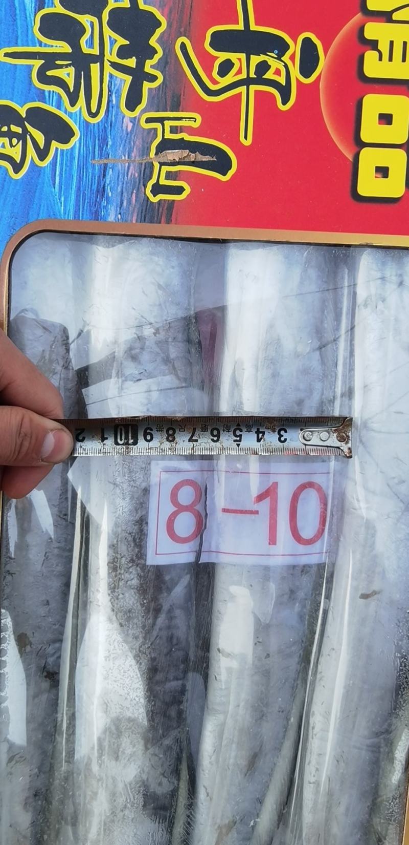 舟山带鱼刀鱼钓带小眼睛大眼睛冻品新鲜高亮度