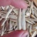 新疆马牙瓜子～尖下巴品牌，一斤一袋，真空包装，两斤起发货