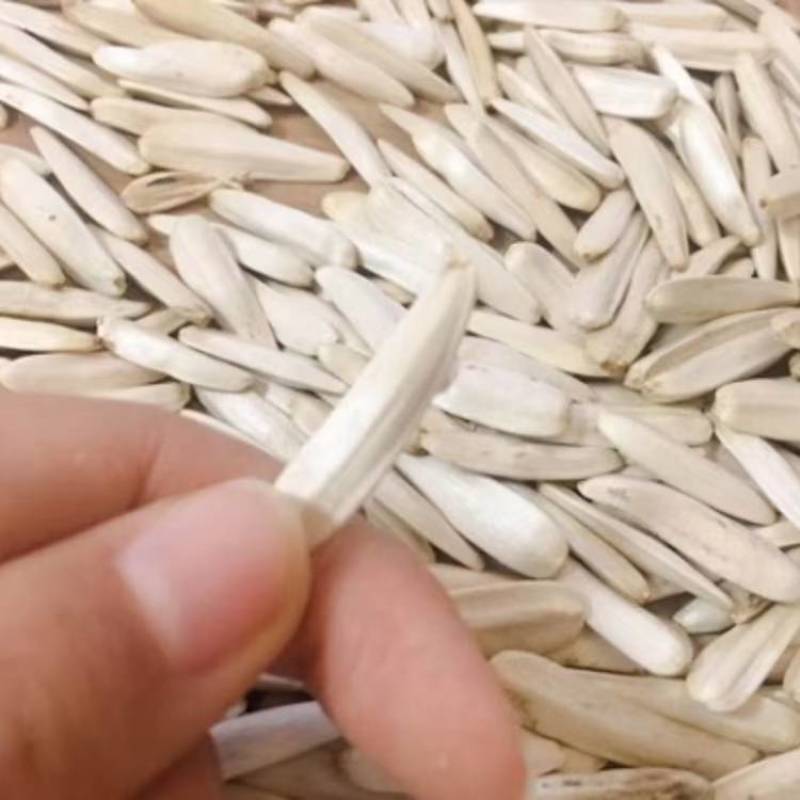 新疆马牙瓜子～尖下巴品牌，一斤一袋，真空包装，两斤起发货