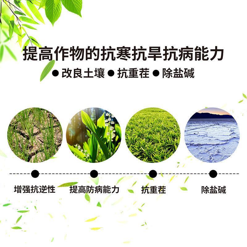 矿源黄腐酸钾复合肥冲施肥叶面肥腐殖酸蔬果通用水溶肥料农用
