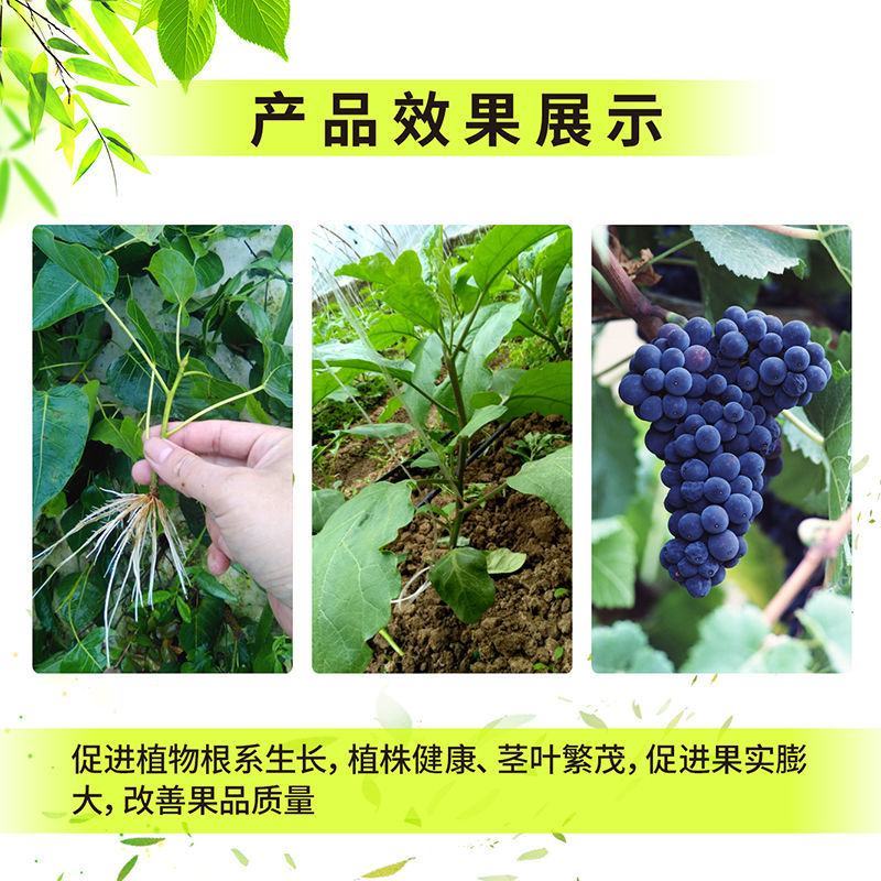 矿源黄腐酸钾复合肥冲施肥叶面肥腐殖酸蔬果通用水溶肥料农用