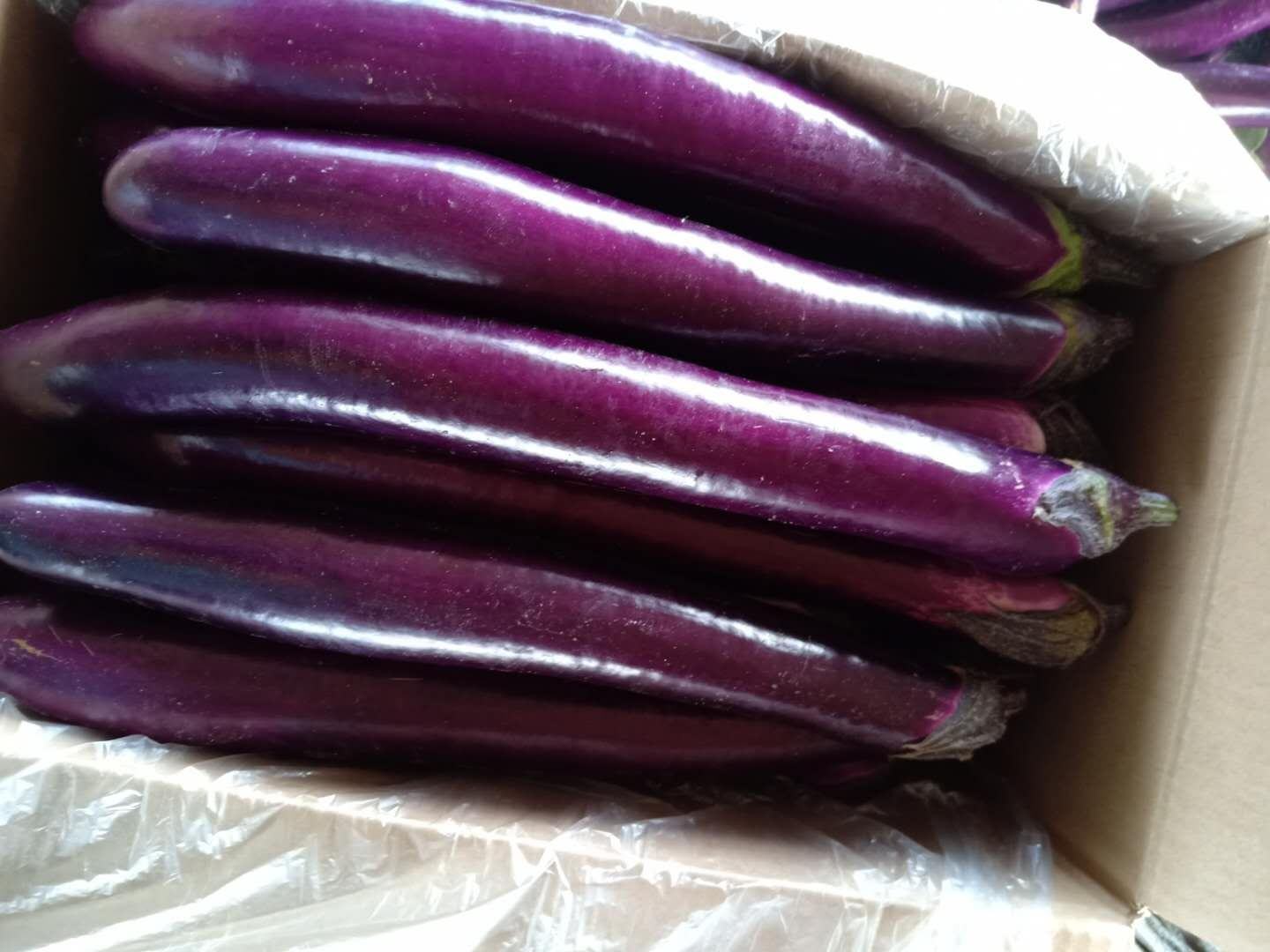 紫苏青茄子拌制过程