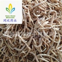【中选太子参】@【同欢药材】中药材批发供应规格齐全