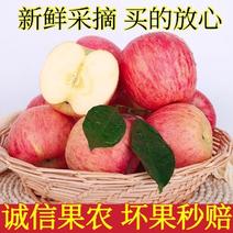 高原红富士苹果，脆甜，口感好，品质好，一件代发，包邮