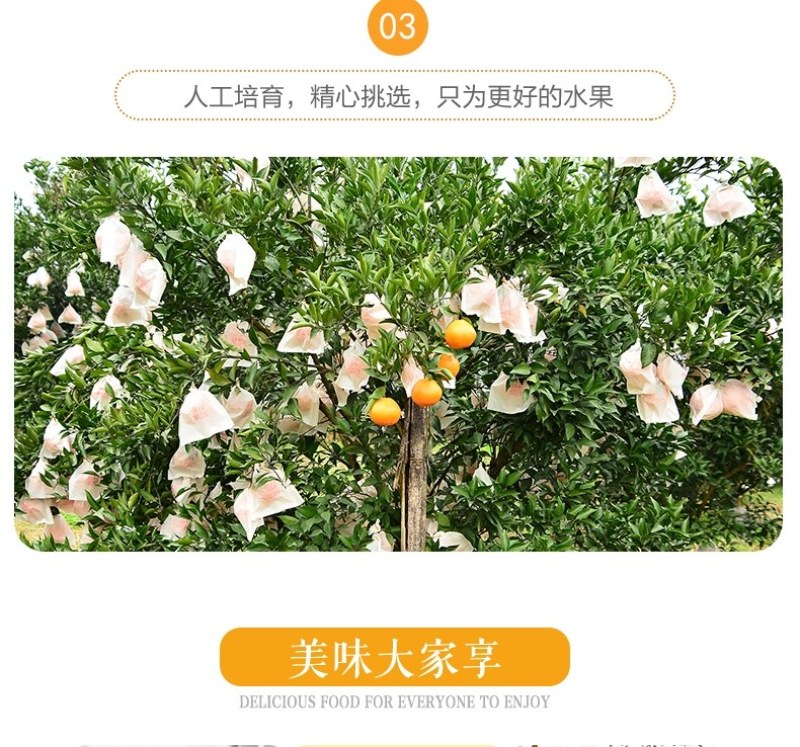 农家果园桠柑，清甜，汁多，品质好，一件代发，包邮