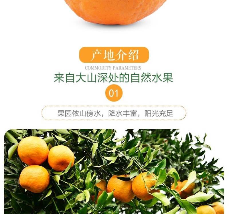 农家果园桠柑，清甜，汁多，品质好，一件代发，包邮
