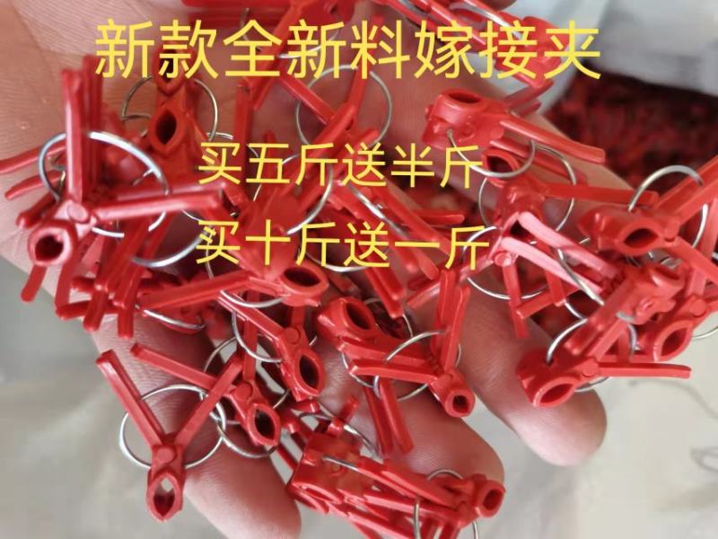 嫁接夹黄瓜辣椒西瓜蔬菜嫁接夹子圆口平口嫁接专用新款嫁接夹