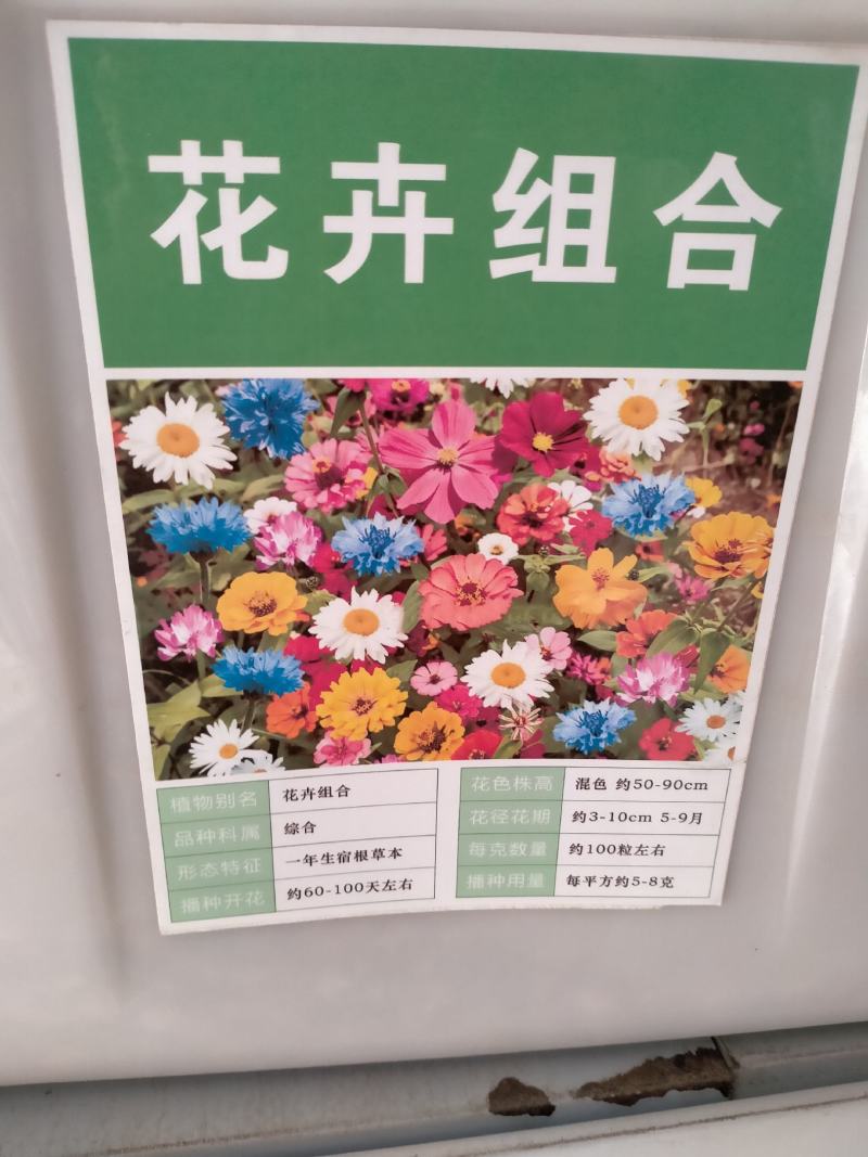 野花组合种子四季开花易种波斯菊百日草种子庭院花卉格桑花草