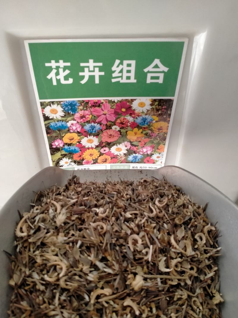 野花组合种子四季开花易种波斯菊百日草种子庭院花卉格桑花草