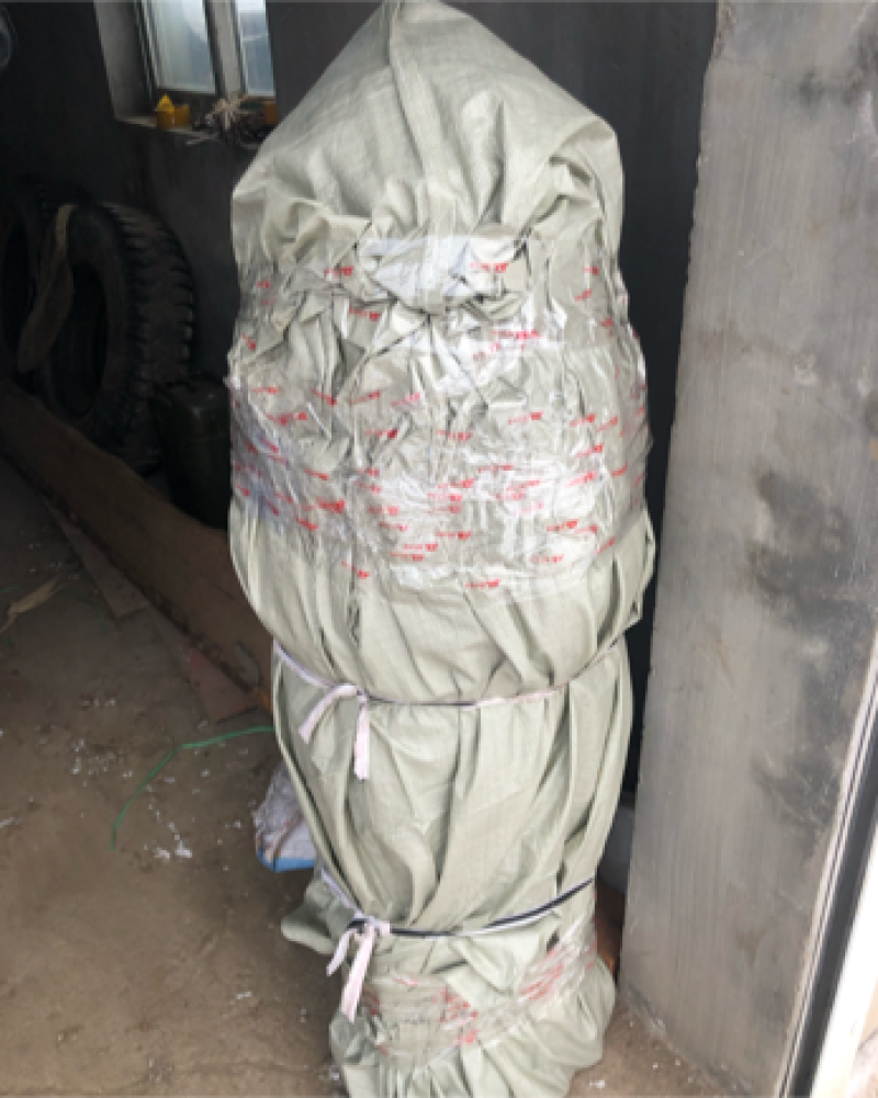 辽宁开原珍珠梅小苗工程苗杯苗繁育基地全国发货
