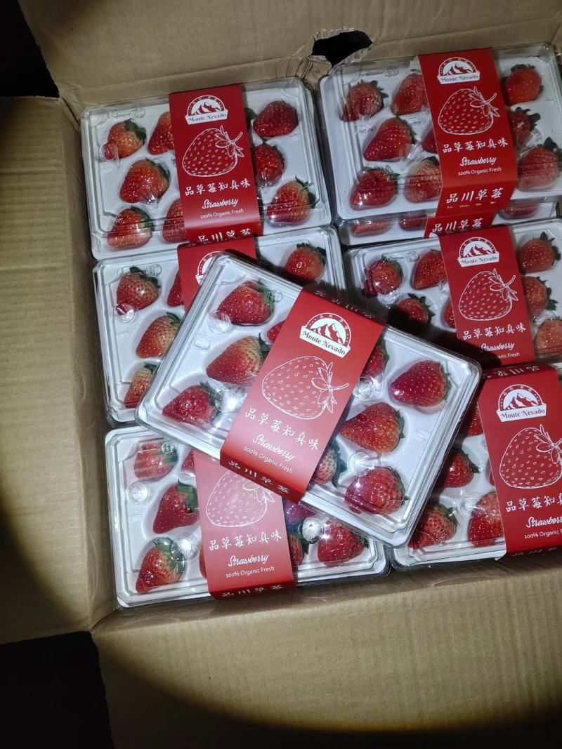 国产草莓精品