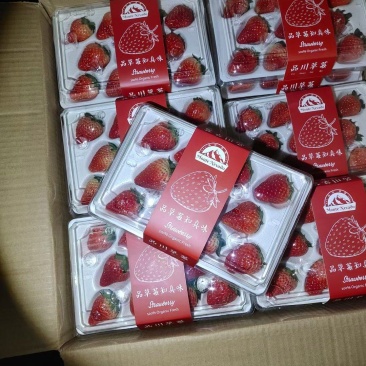 国产草莓精品
