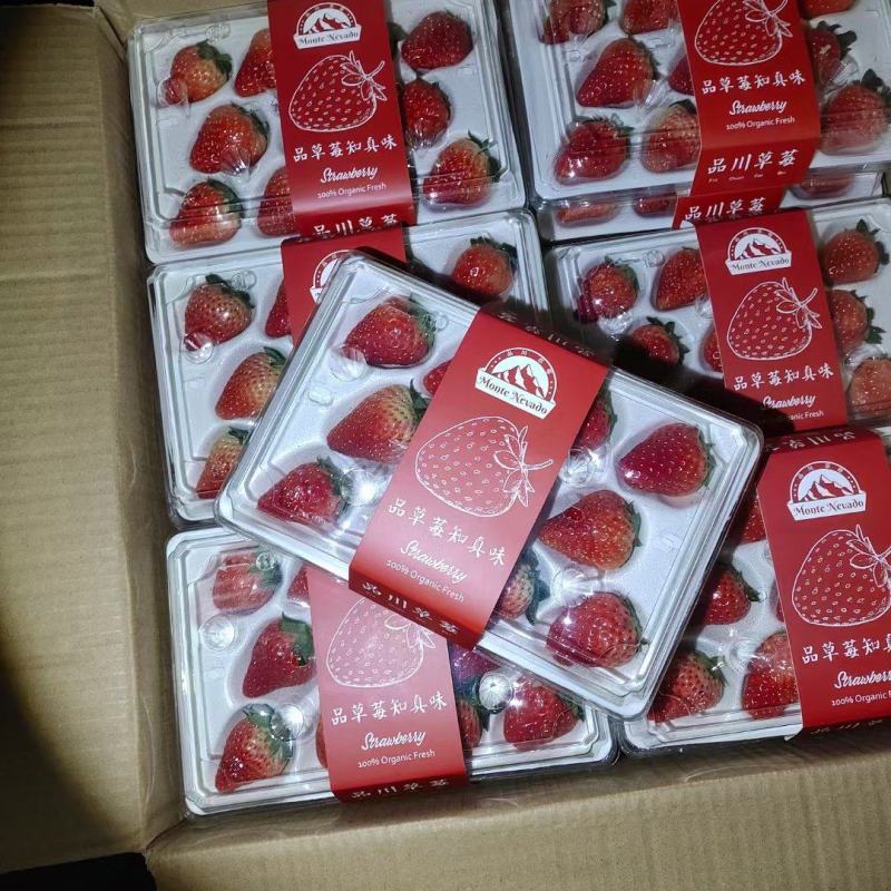 国产草莓精品