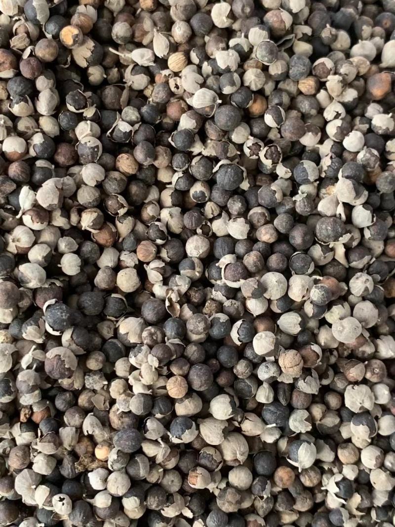 蔓荆子万京子【包邮】三斤起发货可批量可零售量大从优