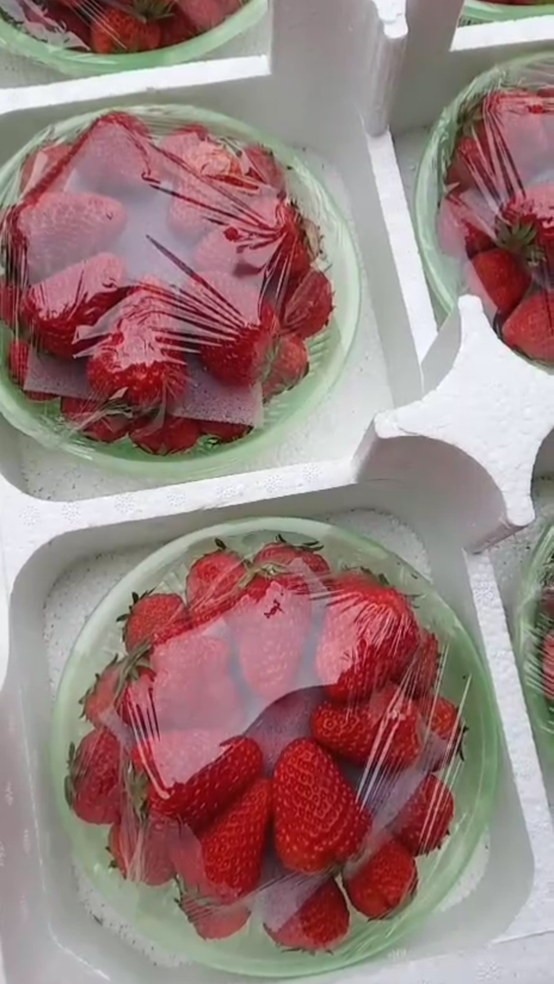昌黎县红颜草莓大量上市
