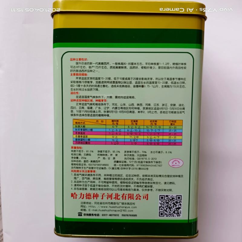 皇冠西芹种子大西芹大田用种口感嫩，颜色黄嫩种子