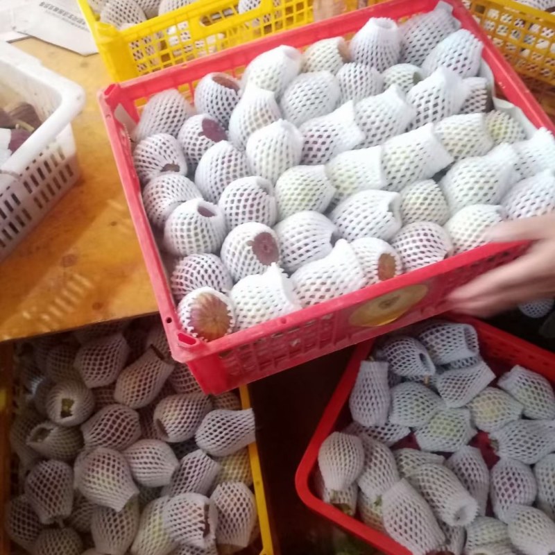 无花果成都云南广州全年供应超市批发市场电商社区团购美团优