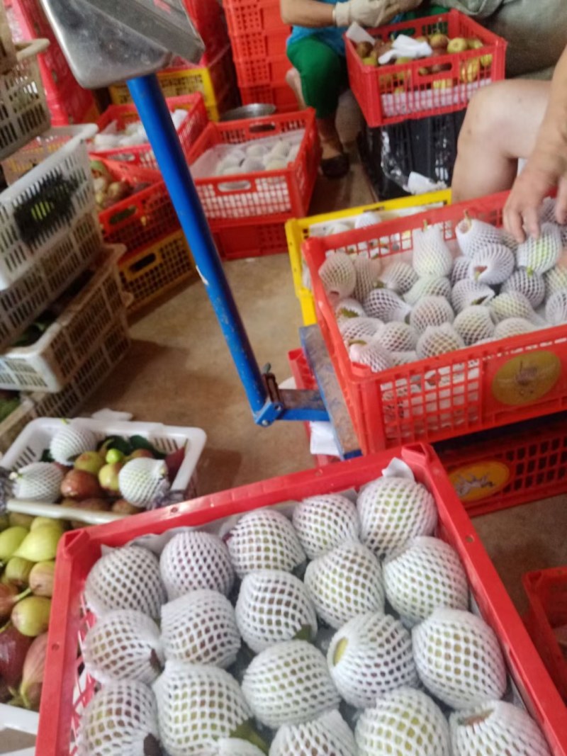 无花果成都云南广州全年供应超市批发市场电商社区团购美团优