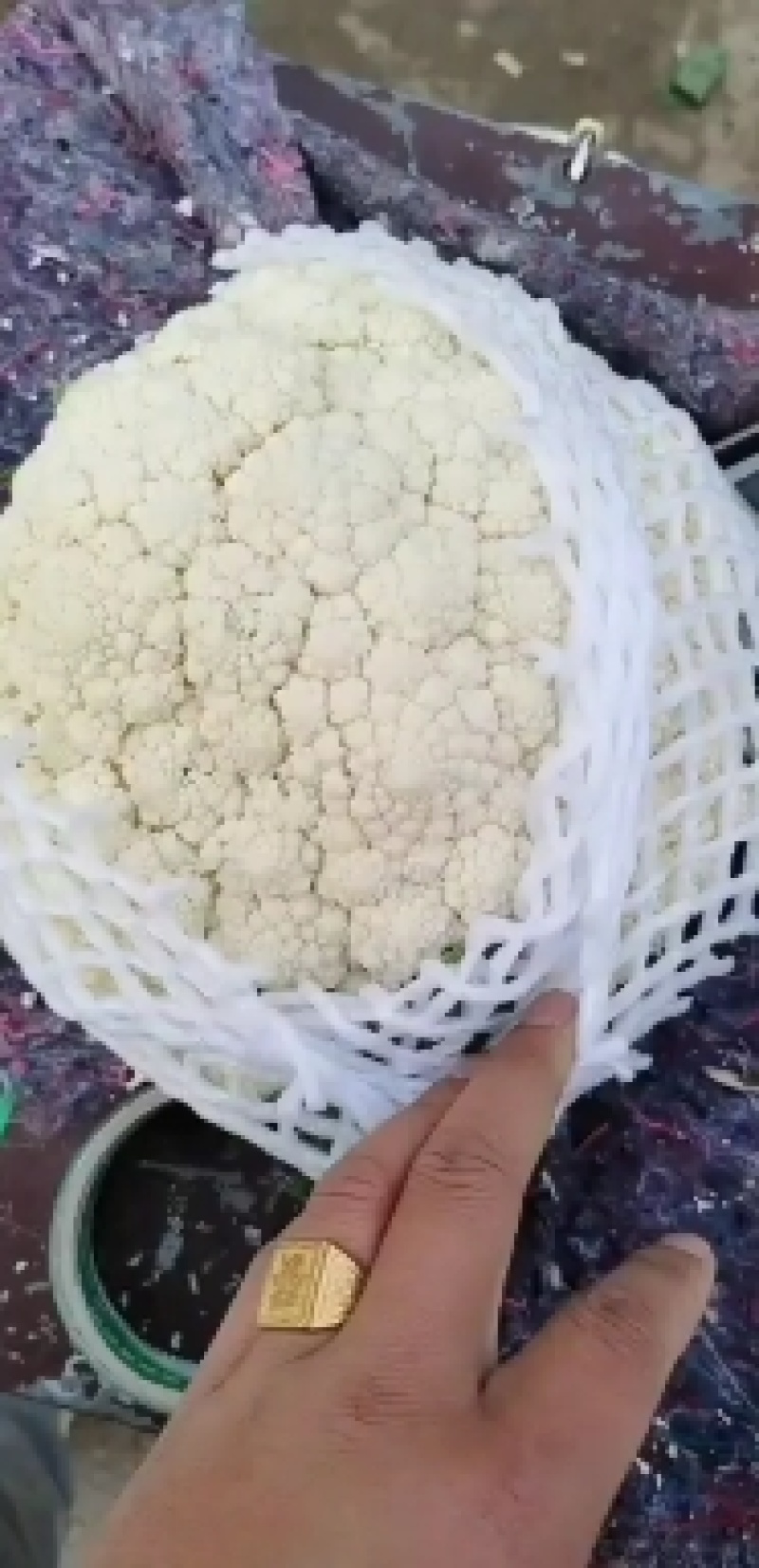 精品有机花，供货量大，市场加工厂都有货需要的联系
