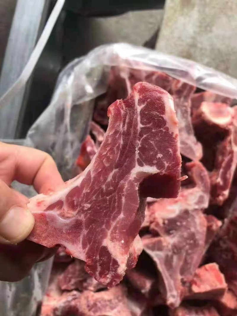 精品冻猪肉厂家直销常年供应量大从优欢迎下单选购